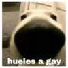 hueles a gay