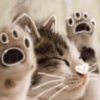 🐾Gatitos Cute🐈💖 11