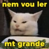 nem vou ler mt grande