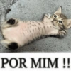 BAIXA ESSAS... 9