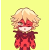 Cat noir 5