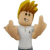 ROBLOX  15