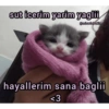 sut icerim yarim yaglii @miawlabakim hayallerim sana baglii <3