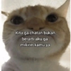 KUCING BUCIN 6