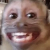 MACACOS ENGRAÇADOS 🐵🤣 5