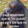✔️MEMESITOS QUE NECESITAS 2 🤭 8