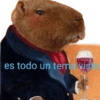 Capybara 2 13