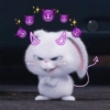 This is Snowball❄️🐰✨ 12