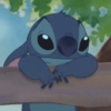 Stitch. | @ocenferios  Haki. 6