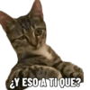 ¿Y ESO A TI QUE?