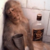Depois da Festa