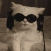 Cat cute  13