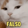 FALSO