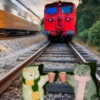 Cat 10