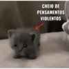 CHEIO DE PENSAMENTOS VIOLENTOS