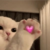 Amor Mood 8