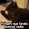 @michis.para.ti Primero que tardes buenas nadas