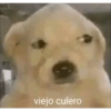 viejo culero
