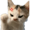 Meme Kucing  12