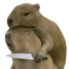 Reações animais  11