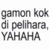 gamon kok di pelihara, |YAHAHA