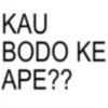 KAU BODO KE APE??