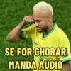 MEMES DO NEYMAR ⚽ 10