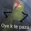 Oye k te paza