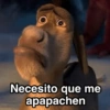Necesito que me apapachen