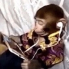 APENAS MACACOS 🤣 11