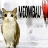 Meowl meme cat🐱✨ 9