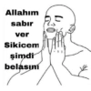 Qnimemsi 17