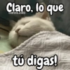Claro, lo que carols.zdio tú digas!
