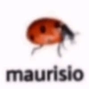Memes baixa qualidade  10