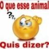 O que esse animal ?? Quis dizer?