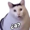 ga?