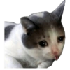 Michis Sad 11