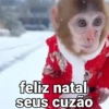 🐒 Macaco Engraçado  12