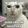 Kucing anomali 5