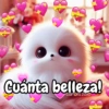 ❣️Stickers de Amor Love 🥰❣️ 12