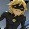 Cat noir 15