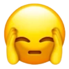 Emoji iphone kocak 🎭 14