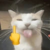 Gatau 13