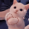 Cute baby cat🥺 13