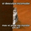 oi desculpa incomodar mas vc pode me mandar um oi?