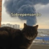 Sobrepensando