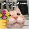 günaydın al sana çiçek @miawlabakim