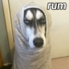 ת