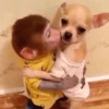 AMOROSAS *-* 8