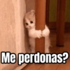 Me perdonas?